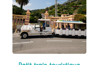 Agrandir l'image 1 sur 1, fenêtre modale