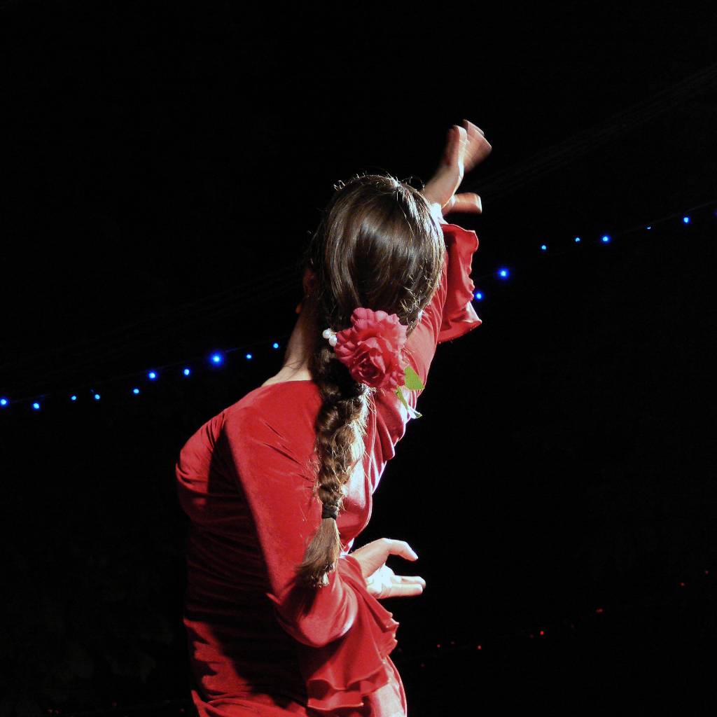 Danseuse Festival Flamenco (1)